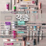 START WORDS: 갹출: (1)きょしゅつ【拠出】[갹출] (2)きょしゅつする【拠出する】[갹출하다]