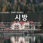 START WORDS: 시방: (1)AT PRESENT; AT THIS TIME[시방] (2)NOW[시방]