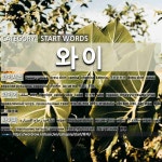 START WORDS: 와이: (1)ワイシャツ[와이셔츠] (2)ワイヤ[와이어] (3)ワイパー[와이퍼]