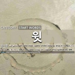 START WORDS: 윗: (1)长辈[윗사람] (2)上牙[윗니] (3)衣服的上端[윗단] (4)上一代[윗대] (5)上身[윗도리] (6)上面的村[윗동네] (7)上村[윗마을]... 