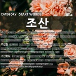 START WORDS: 조산: (1)早产[조산] (2)接生占[조산원] (3)早产[조산하다]
