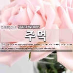 START WORDS: 주먹: (1)НУДАРГА, ЗАНГИДСАН ГАР[주먹] (2)БАРАГЦАА ТОО[주먹구구] (3)ИНГЭС ТЭГС... 
