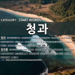 과만청과 | 시작하는 말: 청과