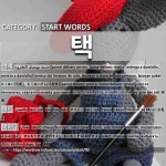 START WORDS: 택: (1)PARCEL DELIVERY SERVICE; HOME-DELIVERY SERVICE[택배] (2)TAXI; CAB[택시] (3)SELECT; CH