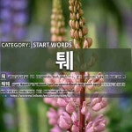 START WORDS: 퉤: (1)SPIT[퉤] (2)SPIT[퉤퉤]