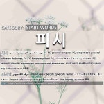 START WORDS: 피시: (1)PC; PERSONAL COMPUTER[피시] (2)INTERNET CAFE[피시방]