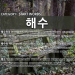 START WORDS: 해수: (1)BÃI TẮM BIỂN[해수욕장] (2)SỰ TẮM BIỂN[해수욕] (3)NƯỚC BIỂN[해수] (4)MẶT NƯỚC BIỂN... 