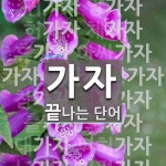 가자 끝 단어