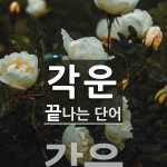 각운으로 끝나는 단어는? 3개