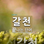 갈천으로 끝나는 단어는? 1개