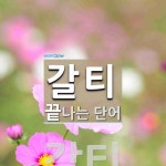갈티로 끝나는 단어는? 1개