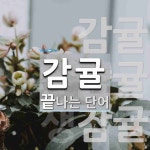 갑이네귤 | 감귤로 끝나는 단어는? 5개