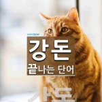 강돈 끝 단어