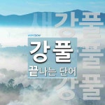 강풀로 끝나는 단어는? 3개