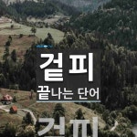 겉피로 끝나는 단어는? 1개