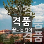 격품으로 끝나는 단어는? 7개