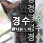 경수로 끝나는 단어는? 11개