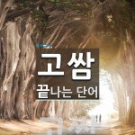 고쌈으로 끝나는 단어는? 1개