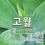 고월 끝 단어