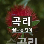 곡리 끝 단어