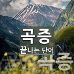 곡증으로 끝나는 단어는? 5개