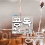 공독으로 끝나는 단어는? 2개