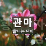 관마로 끝나는 단어는? 3개