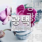 광택으로 끝나는 단어는? 11개