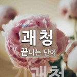 괘청으로 끝나는 단어는? 1개