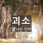 괴소로 끝나는 단어는? 1개