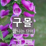 구몰로 끝나는 단어는? 1개