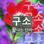 구소로 끝나는 단어는? 63개