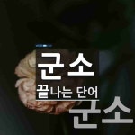 군서원양수산 | 군소로 끝나는 단어는? 2개