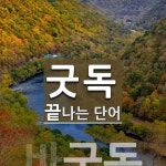 굿독으로 끝나는 단어는? 1개