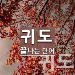 귀도로 끝나는 단어는? 2개