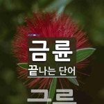 금륜으로 끝나는 단어는? 1개