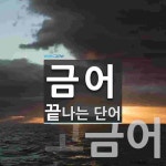 금어로 끝나는 단어는? 2개