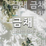 금채 끝 단어