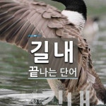 길내로 끝나는 단어는? 1개