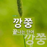 깡쭝으로 끝나는 단어는? 2개
