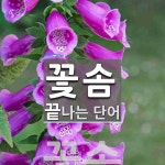 꽃솜으로 끝나는 단어는? 1개