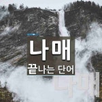 나매꽃차 | "나매" 끝 단어