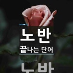 노반으로 끝나는 단어는? 7개