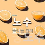 노수로 끝나는 단어는? 2개