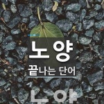 노양으로 끝나는 단어는? 1개