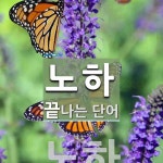 노하 끝 단어