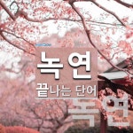 녹연으로 끝나는 단어는? 2개