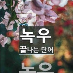녹우로 끝나는 단어는? 1개