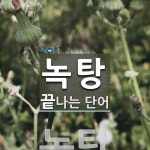 녹탕으로 끝나는 단어는? 1개