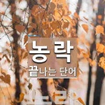 농락으로 끝나는 단어는? 1개